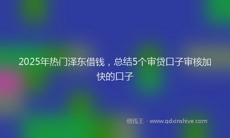 2025年热门泽东借钱，总结5个审贷口子审核加快的口子