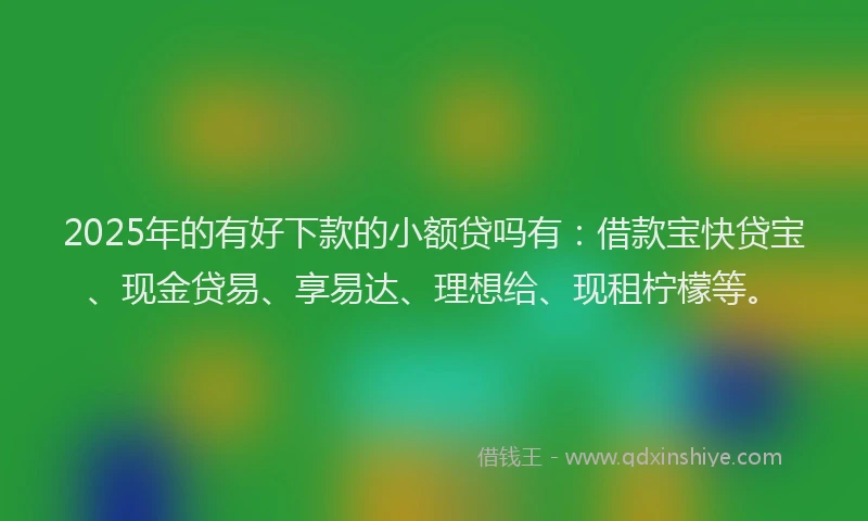 2025年的有好下款的小额贷吗有：借款宝快贷宝、现金贷易、享易达、理想给、现租柠檬等。