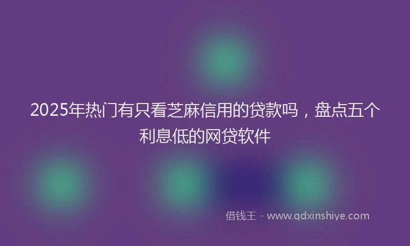 2025年热门有只看芝麻信用的贷款吗,盘点五个利息低的网贷软件