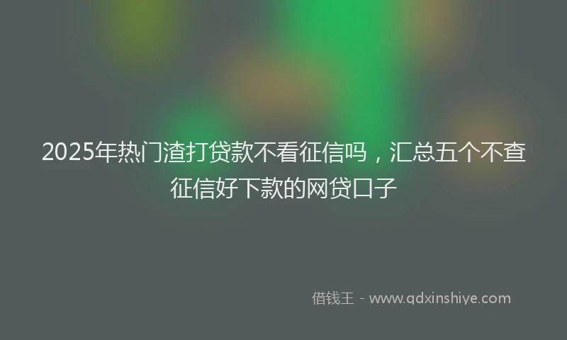 2025年热门渣打贷款不看征信吗，汇总五个不查征信好下款的网贷口子