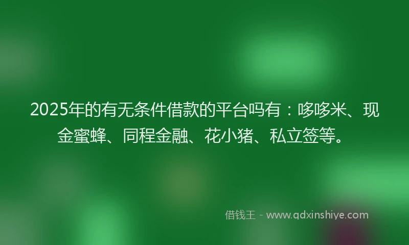 2025年的有无条件借款的平台吗有：哆哆米、现金蜜蜂、同程金融、花小猪、私立签等。