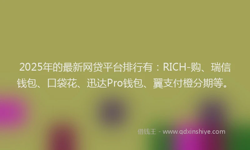 2025年的最新网贷平台排行有：RICH-购、瑞信钱包、口袋花、迅达Pro钱包、翼支付橙分期等。