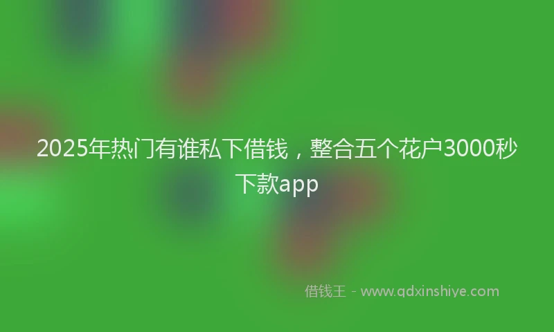 2025年热门有谁私下借钱，整合五个花户3000秒下款app