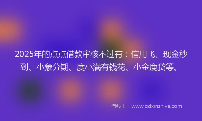 2025年的点点借款审核不过有：信用飞、现金秒到、小象分期、度小满有钱花、小金鹿贷等。