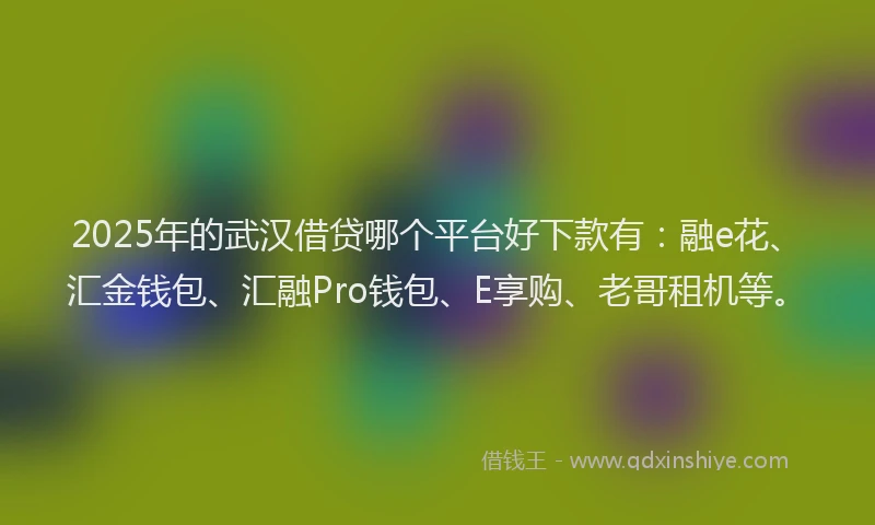 2025年的武汉借贷哪个平台好下款有：融e花、汇金钱包、汇融Pro钱包、E享购、老哥租机等。