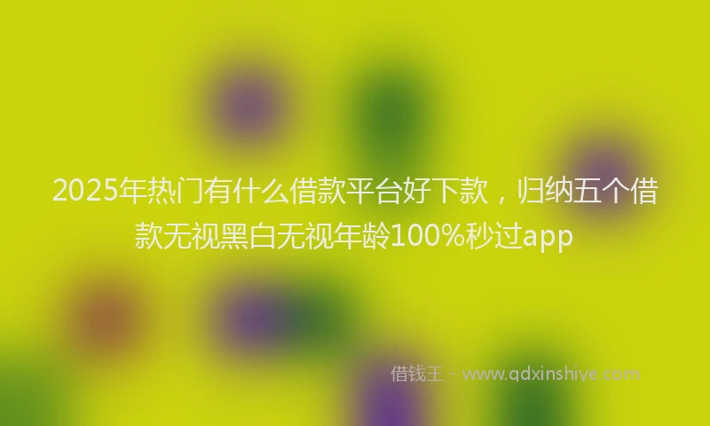 2025年热门有什么借款平台好下款,归纳五个借款无视黑白无视年龄100%秒过app