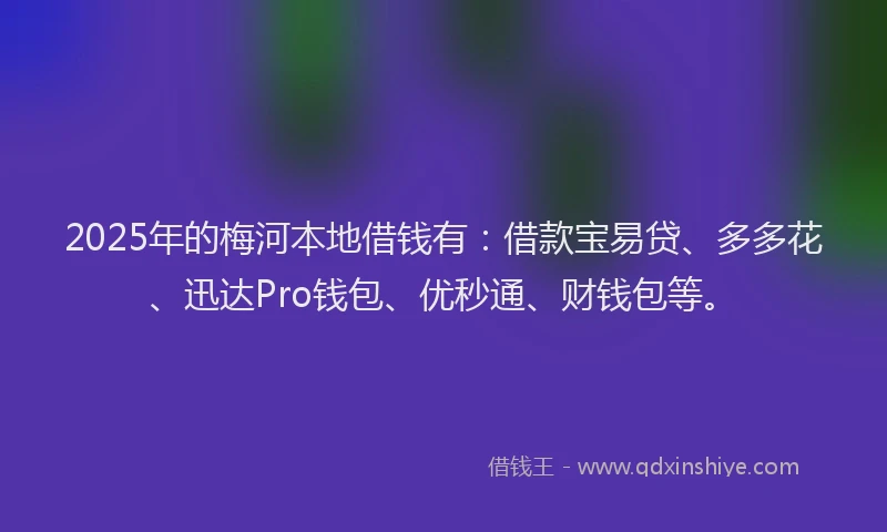 2025年的梅河本地借钱有：借款宝易贷、多多花、迅达Pro钱包、优秒通、财钱包等。