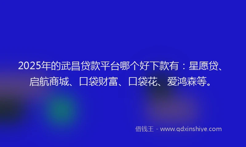 2025年的武昌贷款平台哪个好下款有：星愿贷、启航商城、口袋财富、口袋花、爱鸿森等。
