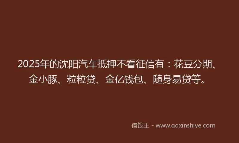 2025年的沈阳汽车抵押不看征信有：花豆分期、金小豚、粒粒贷、金亿钱包、随身易贷等。