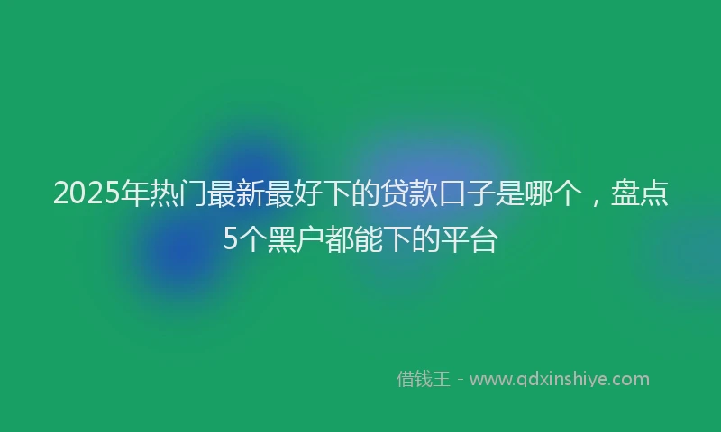 2025年热门最新最好下的贷款口子是哪个，盘点5个黑户都能下的平台