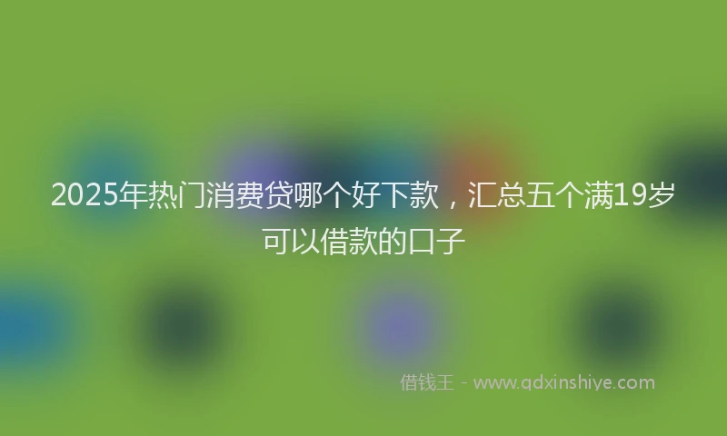 2025年热门消费贷哪个好下款，汇总五个满19岁可以借款的口子