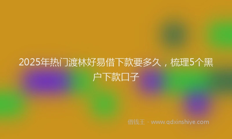 2025年热门渡林好易借下款要多久，梳理5个黑户下款口子