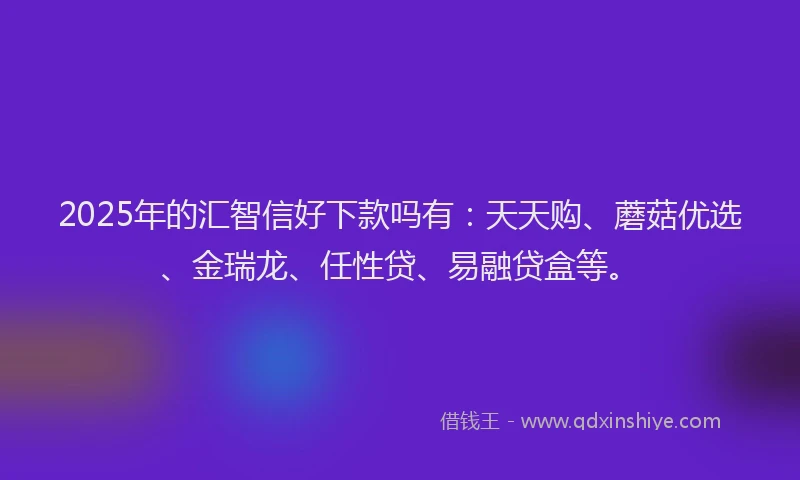 2025年的汇智信好下款吗有：天天购、蘑菇优选、金瑞龙、任性贷、易融贷盒等。