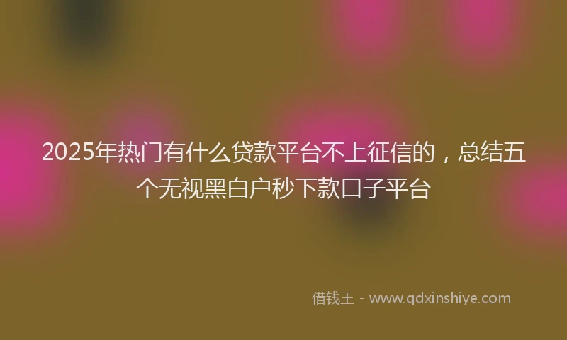 2025年热门有什么贷款平台不上征信的，总结五个无视黑白户秒下款口子平台