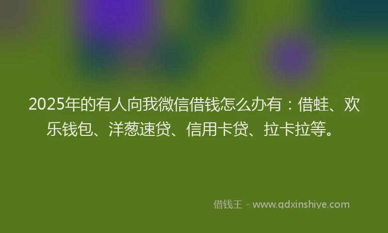 2025年的有人向我微信借钱怎么办有：借蛙、欢乐钱包、洋葱速贷、信用卡贷、拉卡拉等。