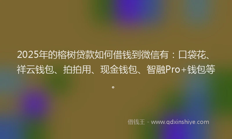 2025年的榕树贷款如何借钱到微信有：口袋花、祥云钱包、拍拍用、现金钱包、智融Pro+钱包等。