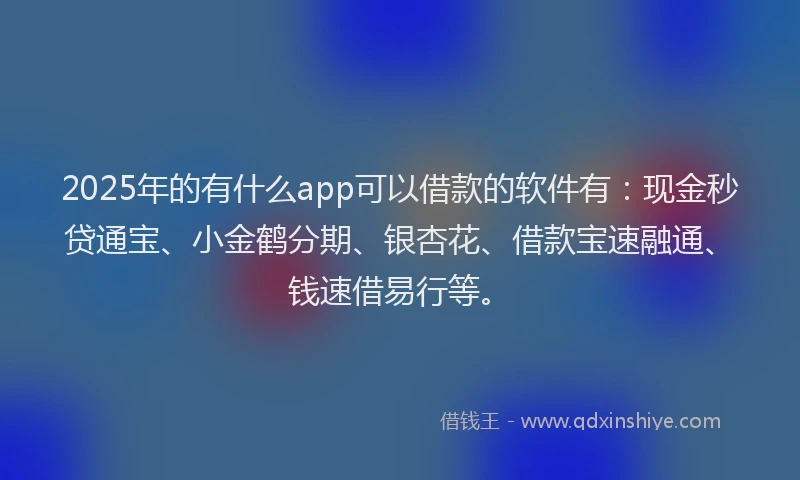 2025年的有什么app可以借款的软件有:现金秒贷通宝、小金鹤分期、银杏花、借款宝速融通、钱速借易行等。