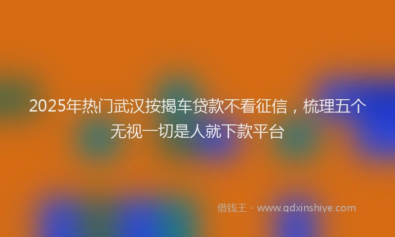2025年热门武汉按揭车贷款不看征信，梳理五个无视一切是人就下款平台
