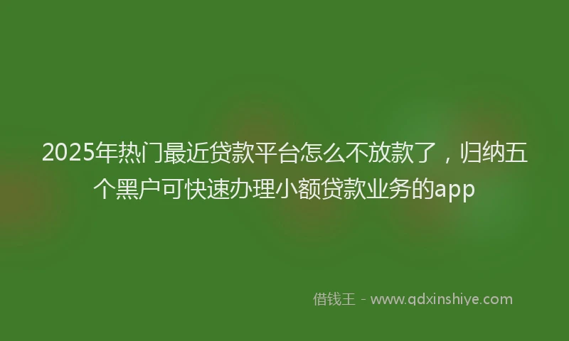 2025年热门最近贷款平台怎么不放款了，归纳五个黑户可快速办理小额贷款业务的app