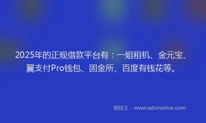 2025年的正规借款平台有：一姐租机、金元宝、翼支付Pro钱包、固金所、百度有钱花等。