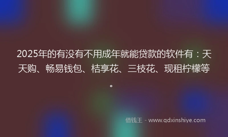 2025年的有没有不用成年就能贷款的软件有：天天购、畅易钱包、桔享花、三枝花、现租柠檬等。