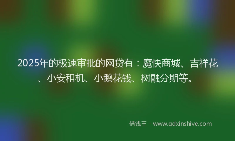 2025年的极速审批的网贷有：魔快商城、吉祥花、小安租机、小鹅花钱、树融分期等。