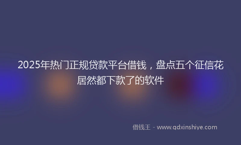 2025年热门正规贷款平台借钱，盘点五个征信花居然都下款了的软件