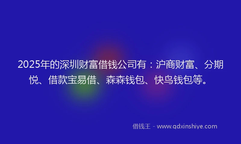 2025年的深圳财富借钱公司有：沪商财富、分期悦、借款宝易借、森森钱包、快鸟钱包等。