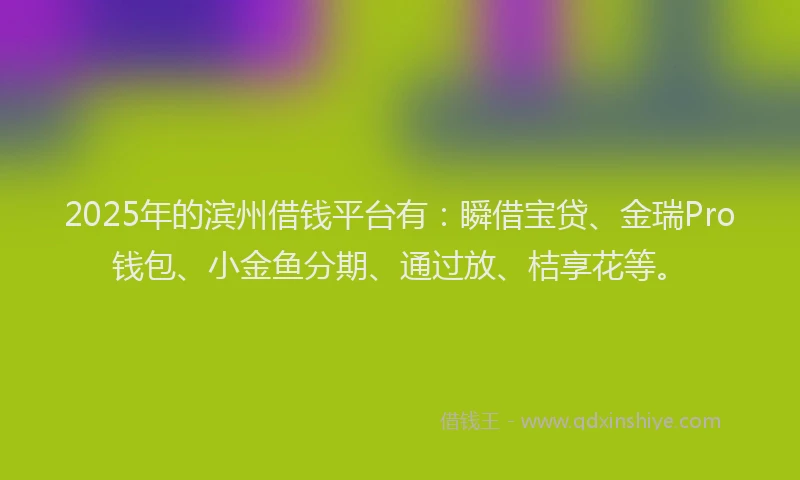 2025年的滨州借钱平台有：瞬借宝贷、金瑞Pro钱包、小金鱼分期、通过放、桔享花等。