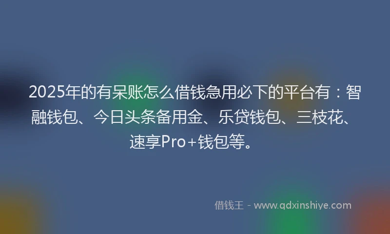 2025年的有呆账怎么借钱急用必下的平台有：智融钱包、今日头条备用金、乐贷钱包、三枝花、速享Pro+钱包等。