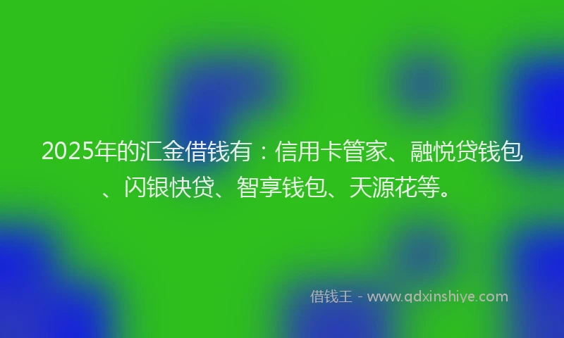 2025年的汇金借钱有：信用卡管家、融悦贷钱包、闪银快贷、智享钱包、天源花等。