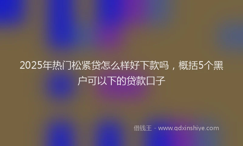 2025年热门松紧贷怎么样好下款吗，概括5个黑户可以下的贷款口子