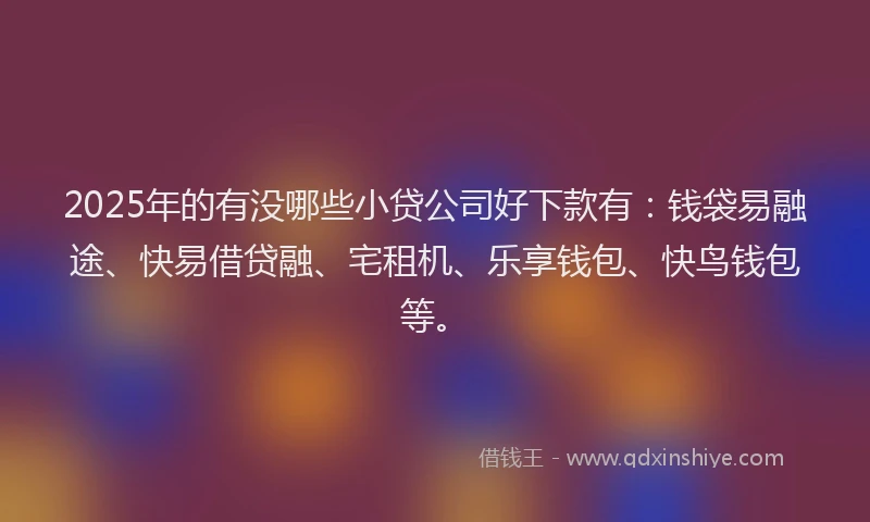 2025年的有没哪些小贷公司好下款有：钱袋易融途、快易借贷融、宅租机、乐享钱包、快鸟钱包等。