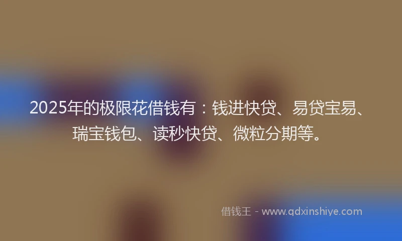 2025年的极限花借钱有：钱进快贷、易贷宝易、瑞宝钱包、读秒快贷、微粒分期等。