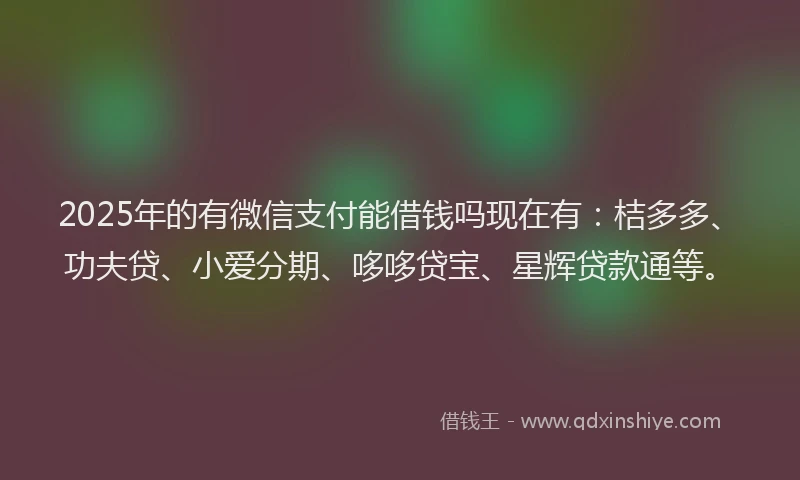 2025年的有微信支付能借钱吗现在有：桔多多、功夫贷、小爱分期、哆哆贷宝、星辉贷款通等。