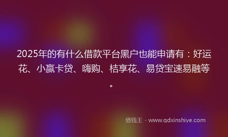 2025年的有什么借款平台黑户也能申请有：好运花、小赢卡贷、嗨购、桔享花、易贷宝速易融等。