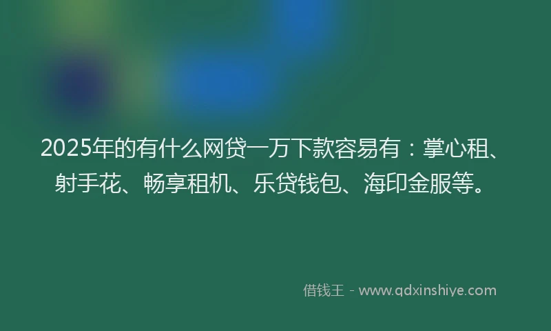 2025年的有什么网贷一万下款容易有:掌心租、射手花、畅享租机、乐贷钱包、海印金服等。