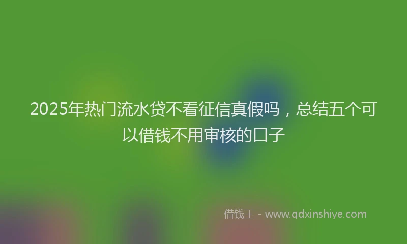 2025年热门流水贷不看征信真假吗,总结五个可以借钱不用审核的口子