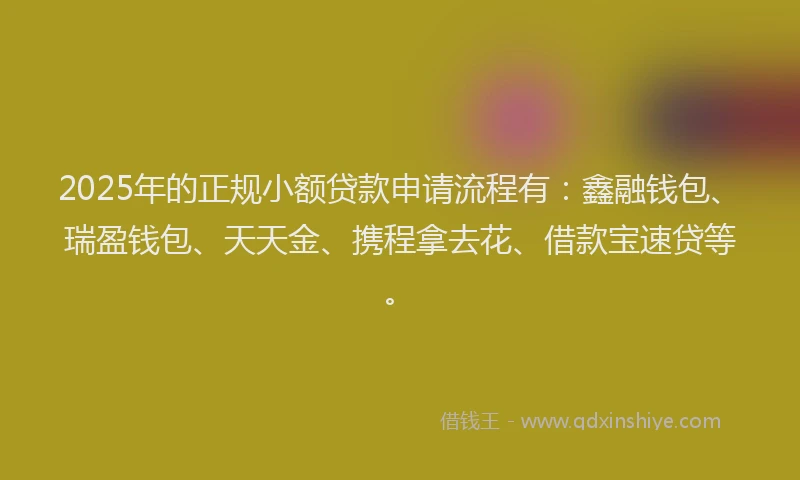 2025年的正规小额贷款申请流程有：鑫融钱包、瑞盈钱包、天天金、携程拿去花、借款宝速贷等。