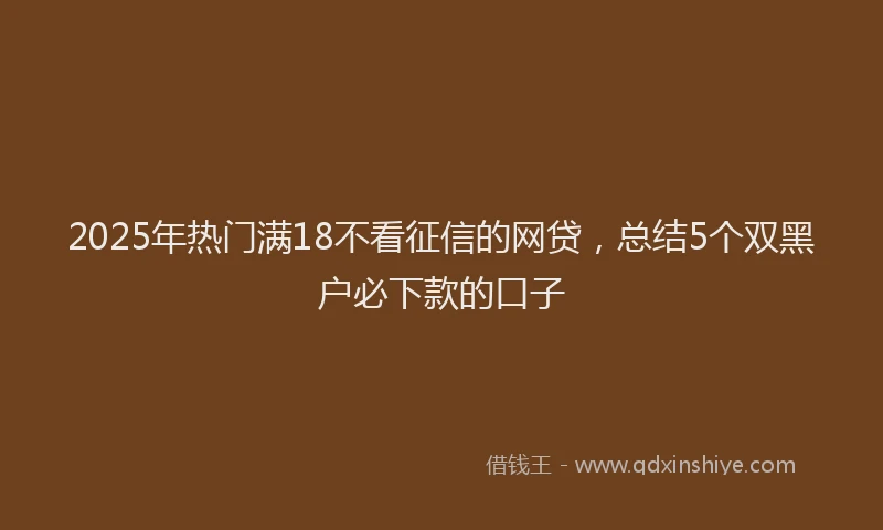 2025年热门满18不看征信的网贷，总结5个双黑户必下款的口子