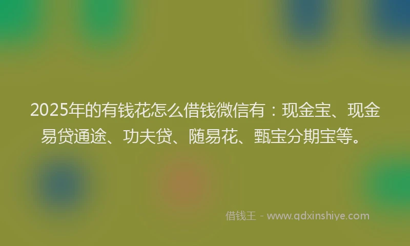 2025年的有钱花怎么借钱微信有：现金宝、现金易贷通途、功夫贷、随易花、甄宝分期宝等。