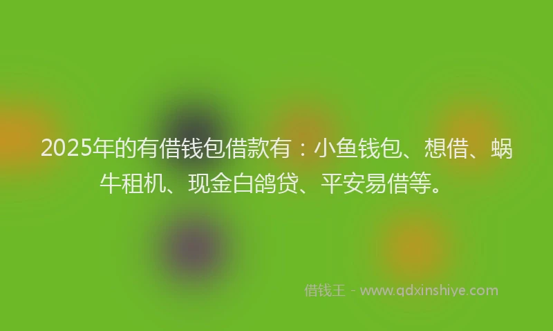 2025年的有借钱包借款有：小鱼钱包、想借、蜗牛租机、现金白鸽贷、平安易借等。
