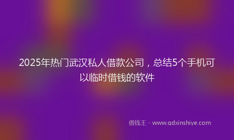 2025年热门武汉私人借款公司，总结5个手机可以临时借钱的软件