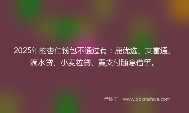 2025年的杏仁钱包不通过有：鹿优选、支富通、滴水贷、小麦粒贷、翼支付随意借等。