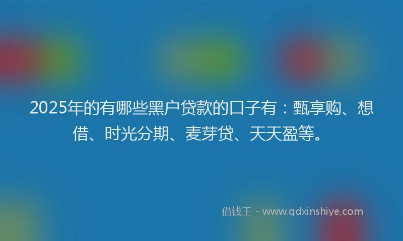 2025年的有哪些黑户贷款的口子有:甄享购、想借、时光分期、麦芽贷、天天盈等。