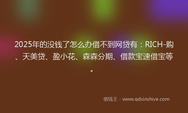 2025年的没钱了怎么办借不到网贷有：RICH-购、天美贷、盈小花、森森分期、借款宝速借宝等。