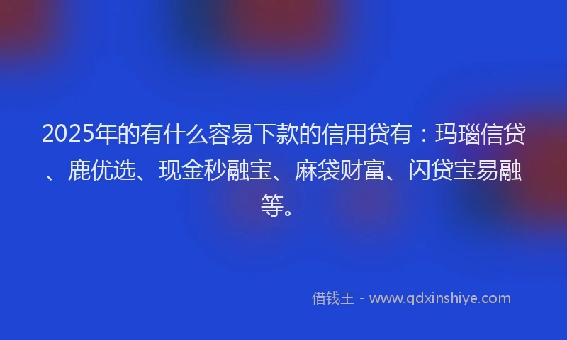 2025年的有什么容易下款的信用贷有:玛瑙信贷、鹿优选、现金秒融宝、麻袋财富、闪贷宝易融等。