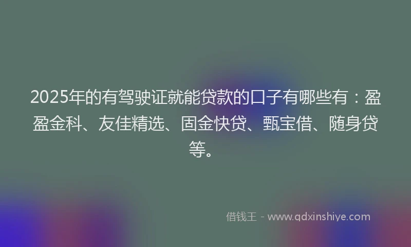 2025年的有驾驶证就能贷款的口子有哪些有:盈盈金科、友佳精选、固金快贷、甄宝借、随身贷等。