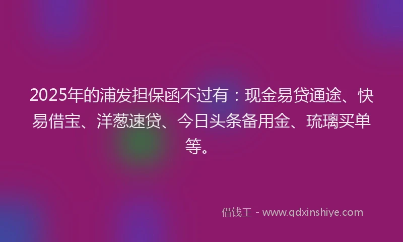 2025年的浦发担保函不过有：现金易贷通途、快易借宝、洋葱速贷、今日头条备用金、琉璃买单等。