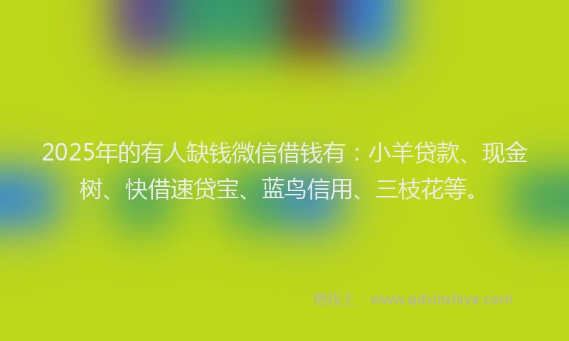 2025年的有人缺钱微信借钱有：小羊贷款、现金树、快借速贷宝、蓝鸟信用、三枝花等。